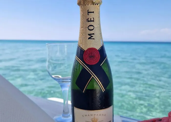 Vesna Luxury & Michel Ap 9