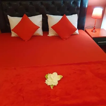 Apartment Vesna Luxury & Michel Ap 9