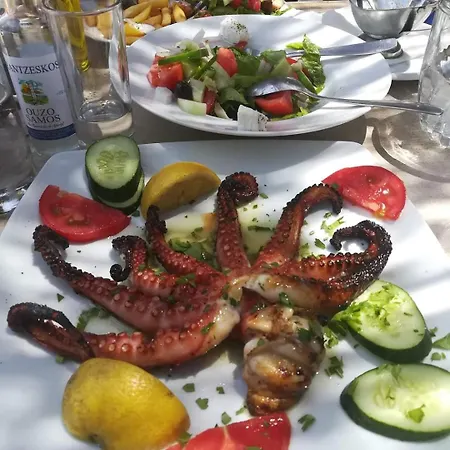 Vesna Luxury & Michel Ap 9 Paralia Katerinis